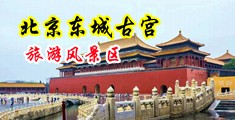 骚妇干着真爽视频中国北京-东城古宫旅游风景区